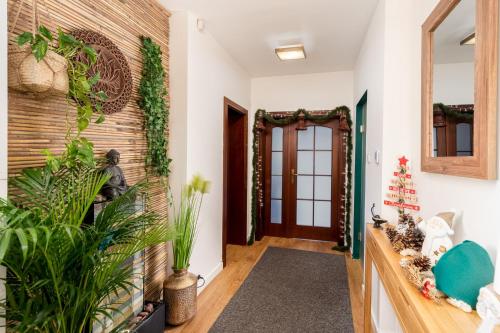 . Pandora's loft