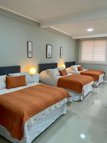 3 queen beds