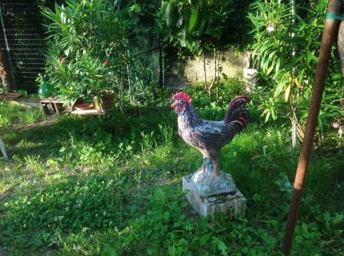 Il Giardino del Gallo