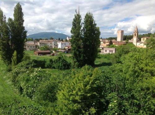 Il Giardino del Gallo - image 2