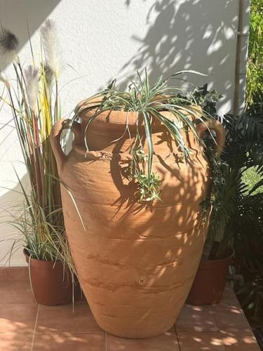 ocean view, on the beach.