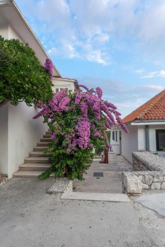Guest House Marija in perfect location, Spalato (Split) (foto 10)