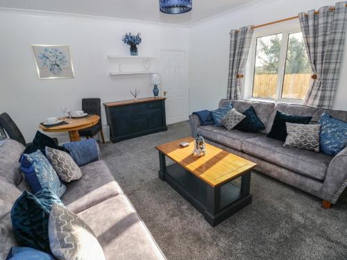 外部景觀, The Old Well Bungalow - Ty Mawr Farm in 斯普洛特