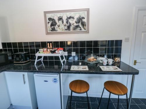 外部景觀, The Old Well Bungalow - Ty Mawr Farm in 斯普洛特