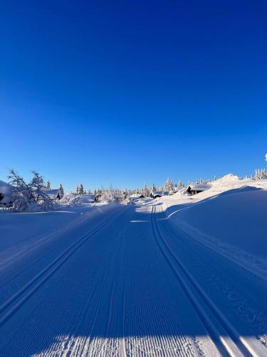 Koselig hytte - Trysilfjellet nært til sykkel- og turstier - 4 soverom, 2 bad, badstue, fiber bredbånd og Elbillader Koselig hytte - Trysilfjellet nært til sykkel- og turstier - 4 soverom, 2 bad, badstue, fiber bredbånd og Elbillader
