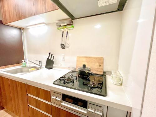 East Ikebukuro 2 Double Beds Apartment / Sunshine City