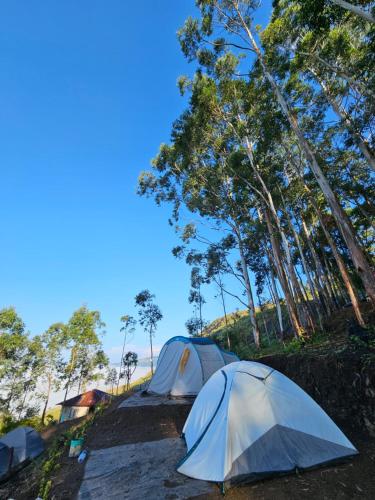 Cloud Camping.