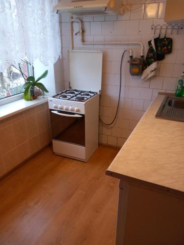 Sunflower in Kauguri