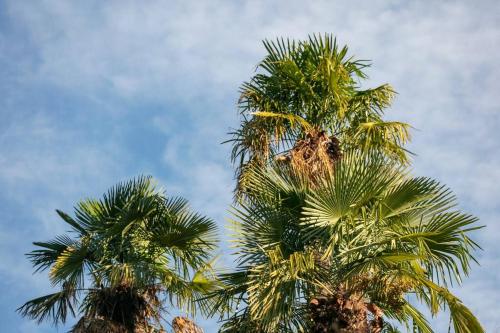 Wild Valley Hidden Rustico in Valle Onsernone in Isorno