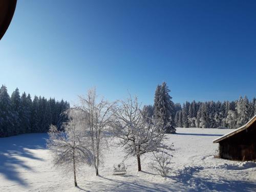 Rustico di Angelo in Prem, Deutschland