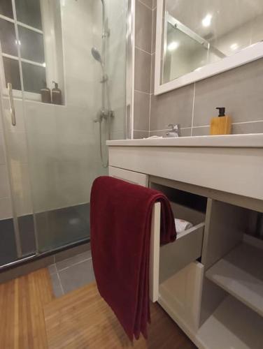 Le Blue IVY Hyper centre 2 chambres Tout équipe (Le Blue IVY Hyper centre 2 chambres Tout equipe) in 勒克佐