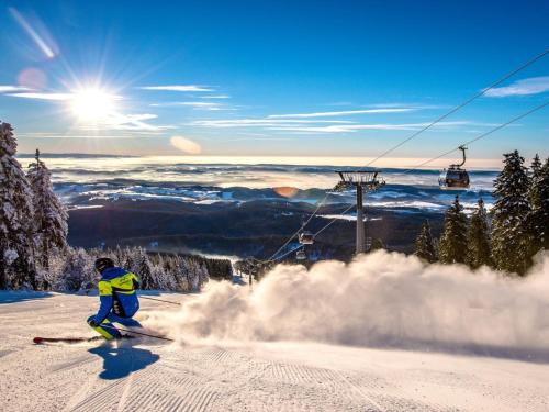 Horský Apartmán Černý Důl (Horsky Apartman Cerny Dul) in 賽爾妮道夫