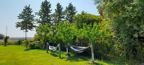 Luxe Vakantievilla - B&B Blue Garden Vlaamse Ardennen nabij Pairi Daiza