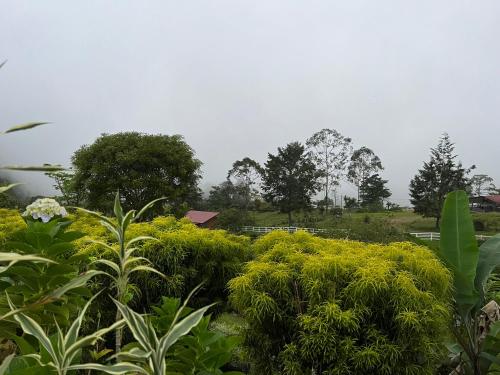 Rinconcito de Paz Cedral Pérez Zeledón - image 3