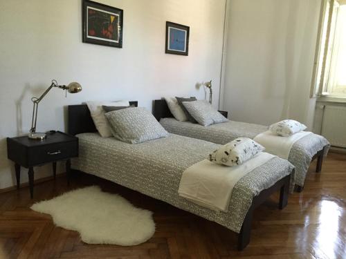 Villa Peppina Apartment in 洛夫蘭