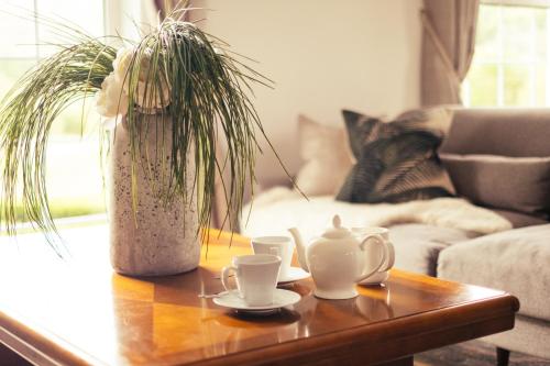 Bryn Eglwys Hotel - image 3