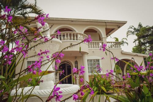 Tebaida villa puebla