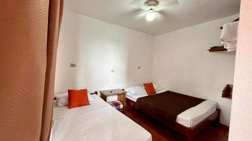 Hostal Nuevo Arenal downtown, private rooms with bathroom