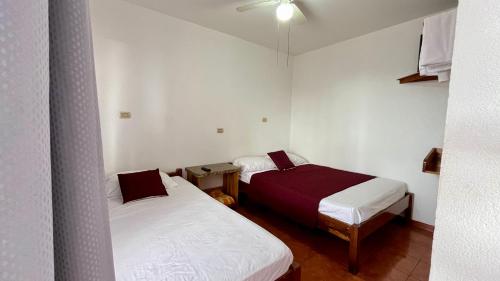 Hostal Nuevo Arenal downtown, private rooms with bathroom