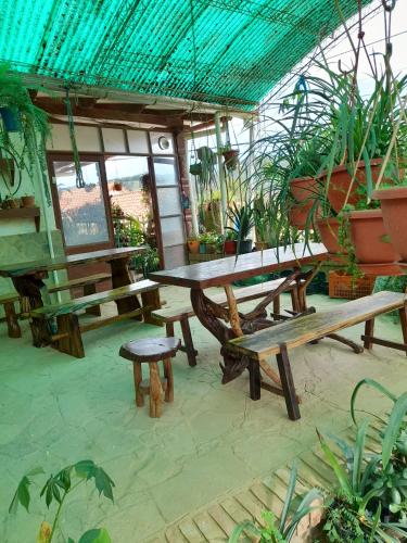 Patogumai, Fonda Amboró (Fonda Amboro) in Samaipata