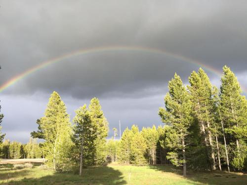 Bear Tracks Loft 20 Miles to West Yellowstone & Air Condition & Wifi