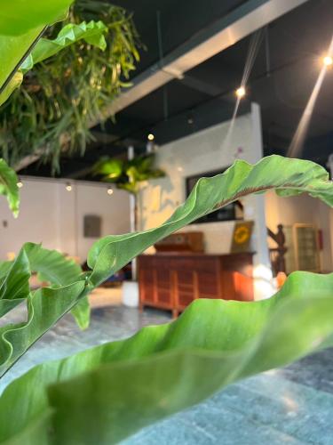 Létesítmények, Yan Bin Hotel near Chengkung Egyetem