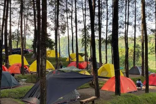 Surrounding environment, ALAM RAYA CAMP in Gunung Sindur