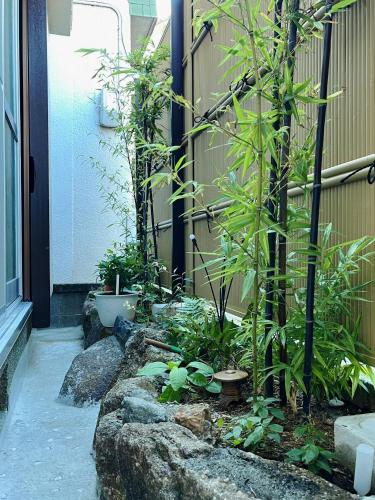 ご縁中*日式独栋*南海线徒步2分钟到房源*10分钟到难波*全新上线 - Tap to explore photos