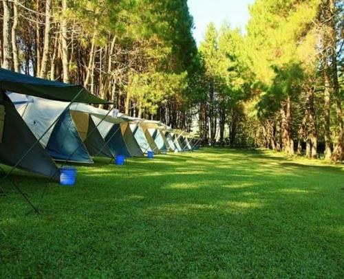 Surrounding environment, ALAM RAYA CAMP in Gunung Sindur