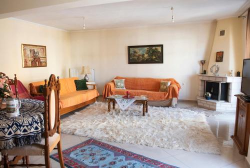 Quiet Apartment close to the center of Trikala - Kostitsi