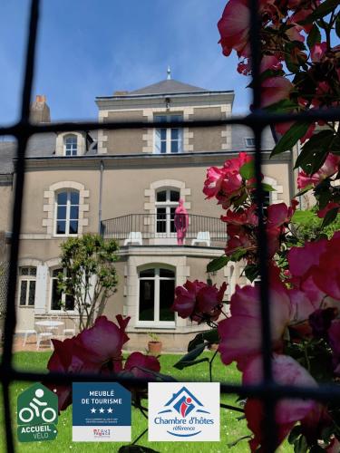 Maison Bout du monde Angers hyper centre - Location saisonnière - Angers