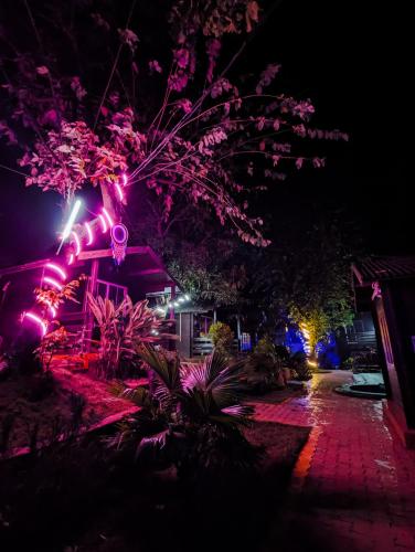 Greenland Cottage's Arambol in Arambol