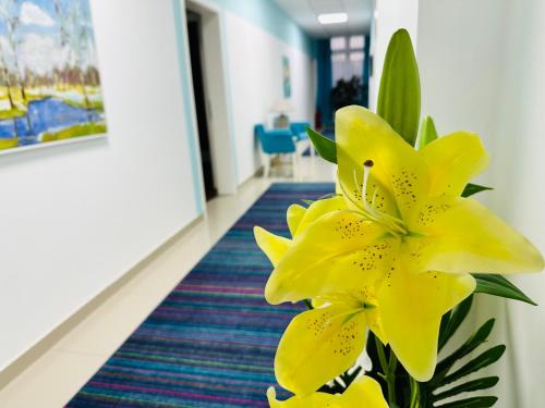 HOTEL MINERO - image 8