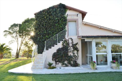Agriturismo Colle Salomonio 4