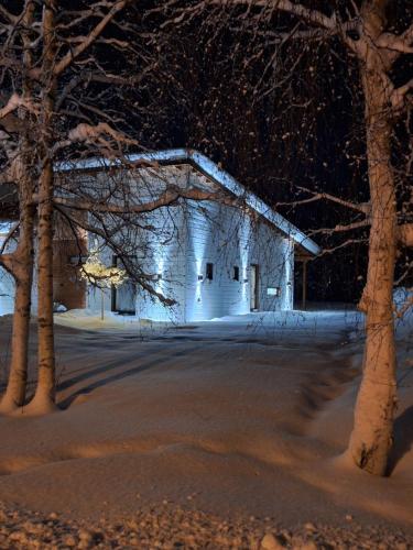 Villa Arctic Light 5