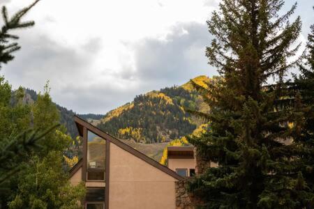 New Listing! Newly Renovated 2 BR in Town Mountain Views - image 9