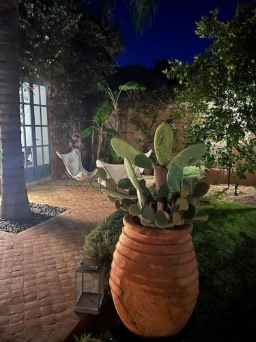 Villa-Riad Nejma Villa-Riad Nejma