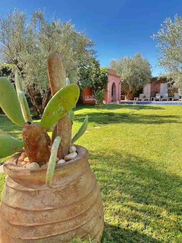 Villa-Riad Nejma Villa-Riad Nejma