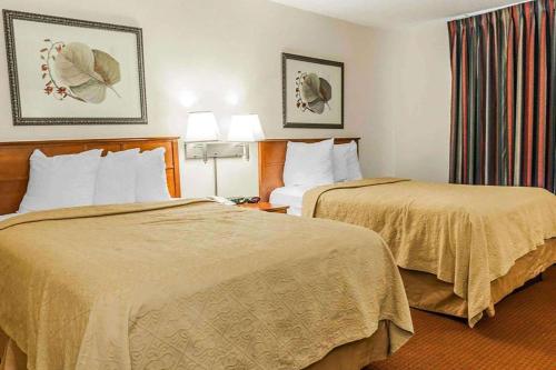 Double Room with Two Double Beds - Non-Smoking