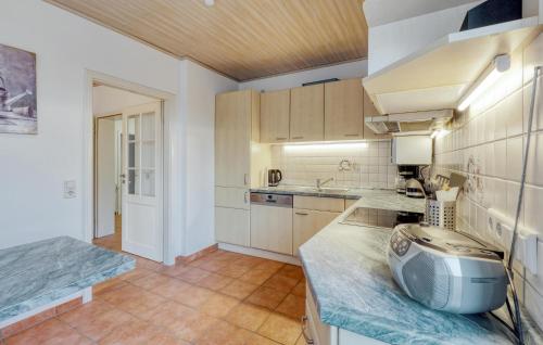 virtuve, 1 Bedroom Stunning Apartment In Neukirchen in Neukirchen