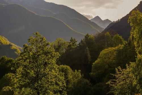 Wild Valley Garden Paradise in Valle Onsernone in Isorno