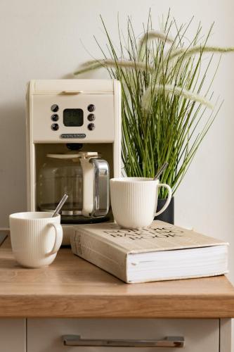 블랜드포드 포럼 Meadow - Woodland Cottage with Private Hot Tub 4성급 싱글룸 스위트룸