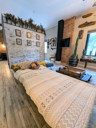 Cozy AF Gothic Rose Gallery