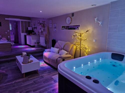 Studio avec jacuzzi , terrasse amenagée et wifi à Westrehem chambre d'hôte Liettres