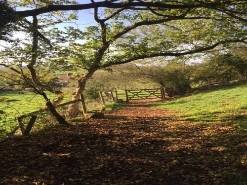 Pass The Keys Wilf's Barn, Wedmore a romantic cottage for two