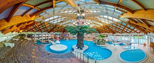 مسبح, Glamping Terme Čatež (Glamping Terme Catez) in Catez Ob Savi