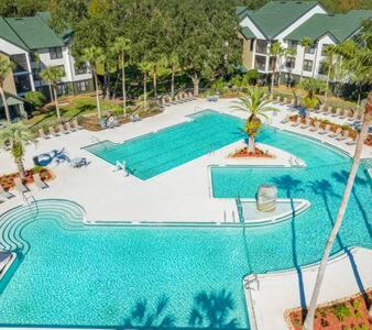 2 MI to USF + Long Term Stays allowed + Gym + Pool 2 MI to USF + Long Term Stays allowed + Gym + Pool