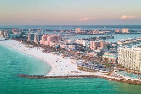 2 MI to USF + Long Term Stays allowed + Gym + Pool 2 MI to USF + Long Term Stays allowed + Gym + Pool