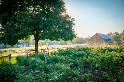 Frush Farm Bed & Breakfast