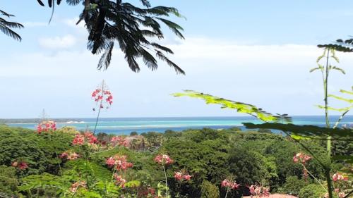 The Nest Tobago Apartments